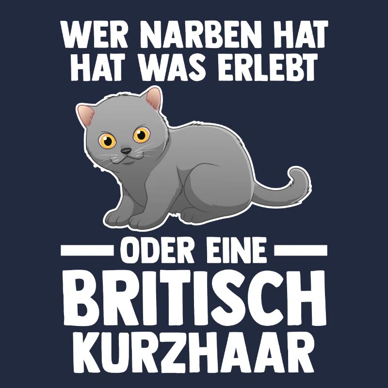 Britisch Kurzhaar Katze