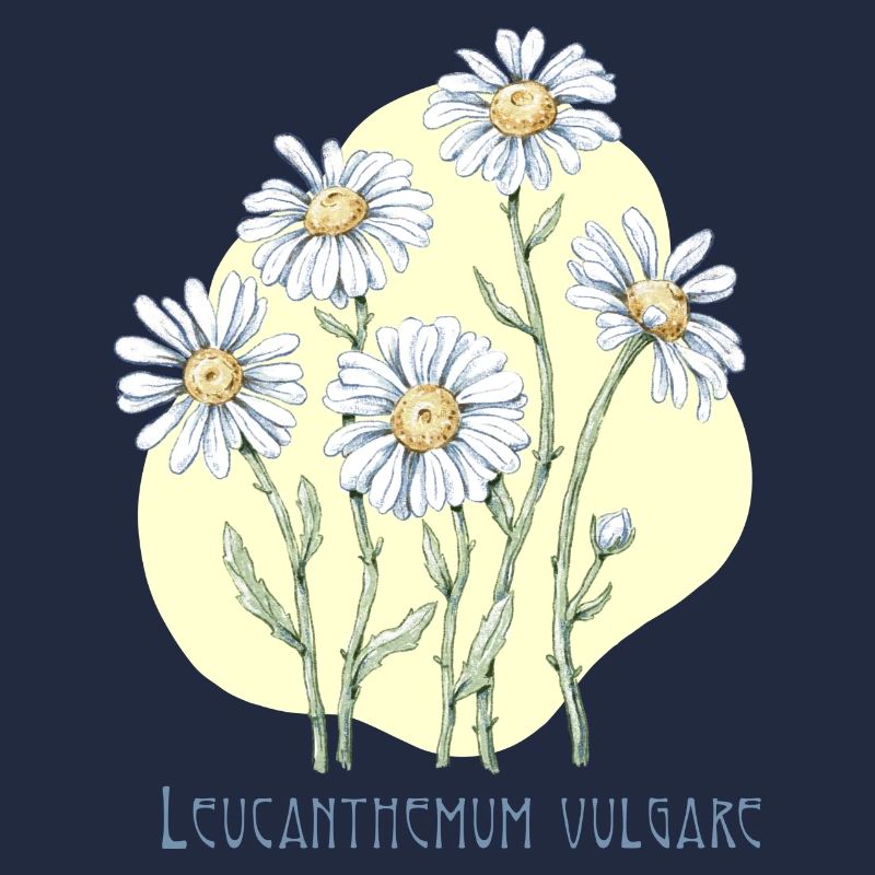 Jastrun proper botanical drawing