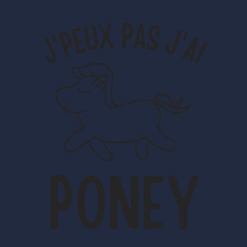 Poney cheval équitation