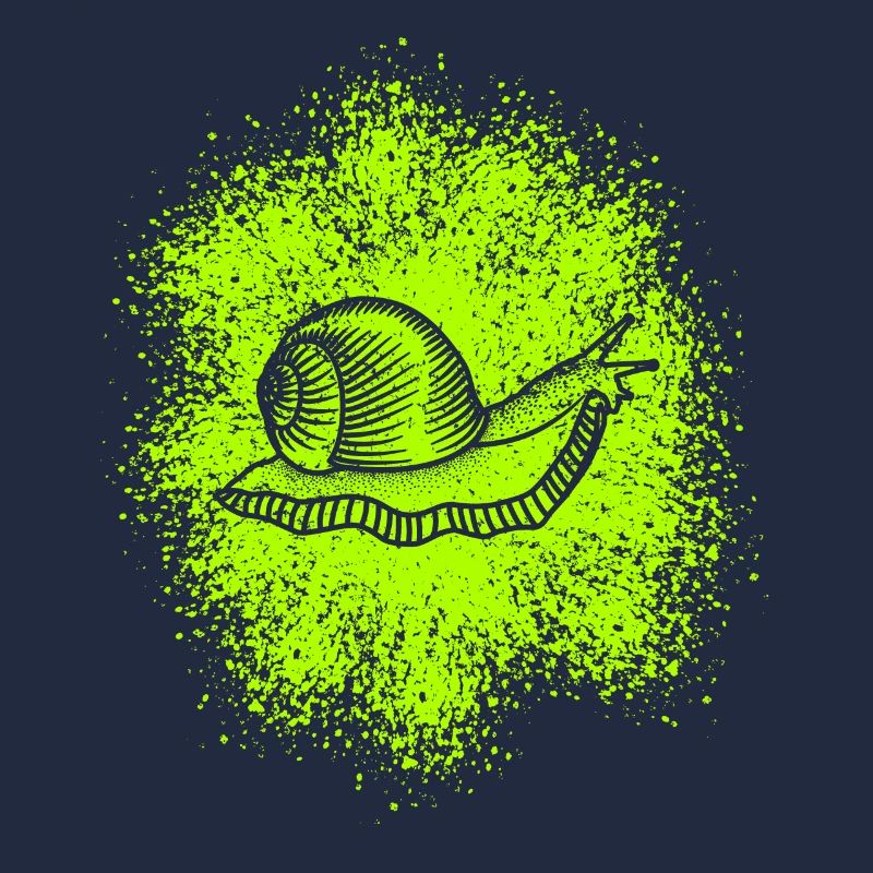Cute snail with snail shell