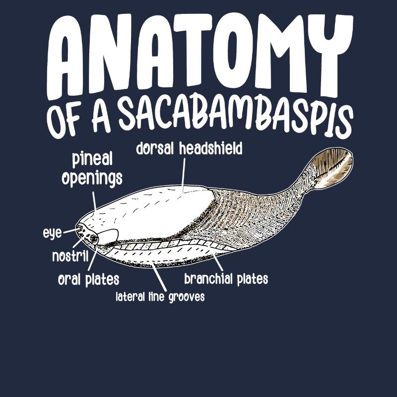 Fish Meme