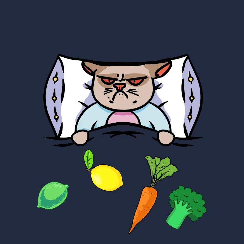 Chat Grippe Lit Vitamines Santé Malade