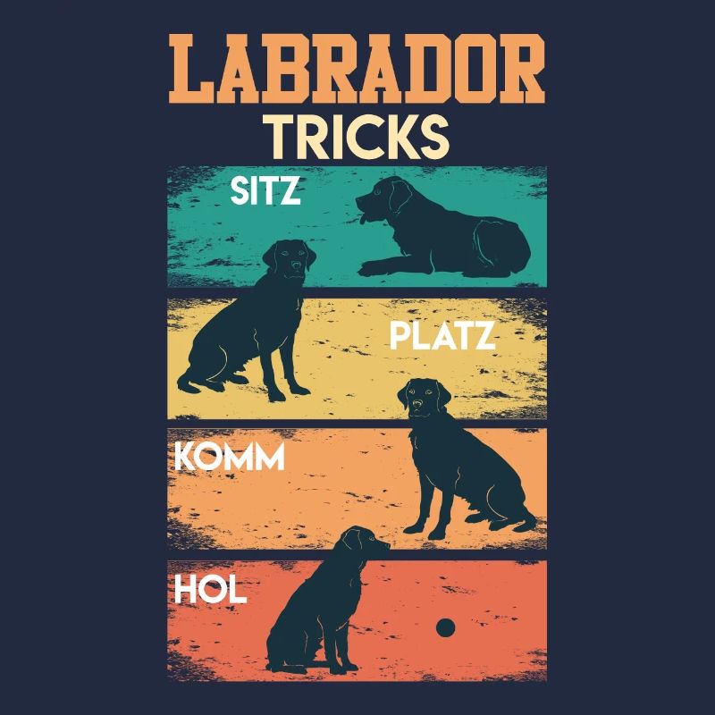 Labrador Tricks Sture Labrador Hunde Labrador