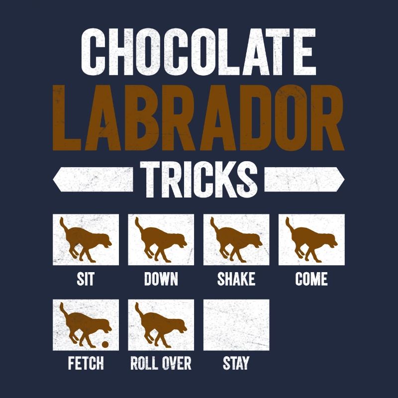Brauner Labrador CHOCOLATE LABRADOR TRICKS Lustig