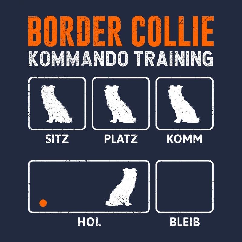 ENTRAÎNEMENT COMMANDO BORDER COLLIE Drôle