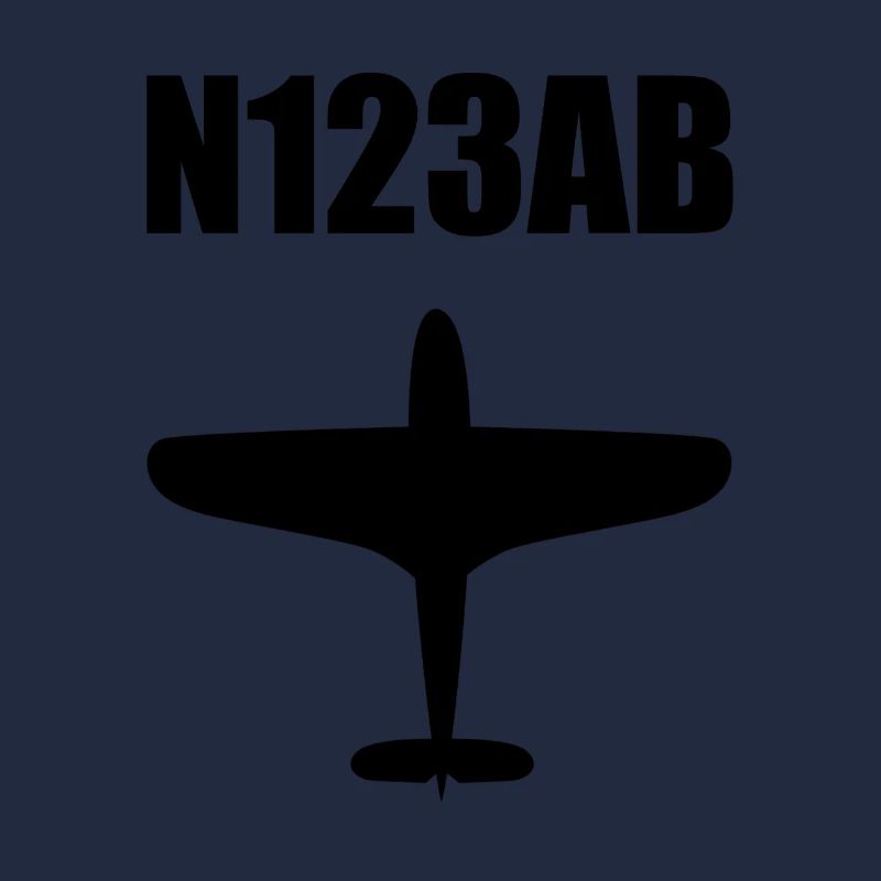 Custom Aviation - Flugzeug - Luffahrt - Pilot