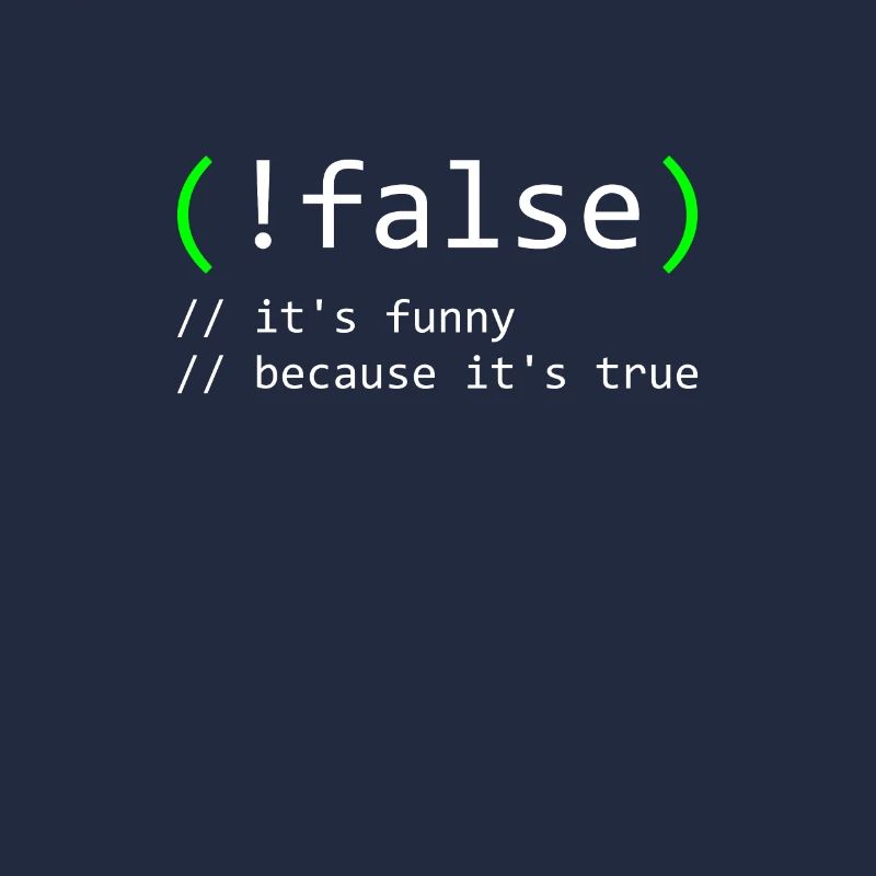 Programmierer Humor false true funny Nerd Geek