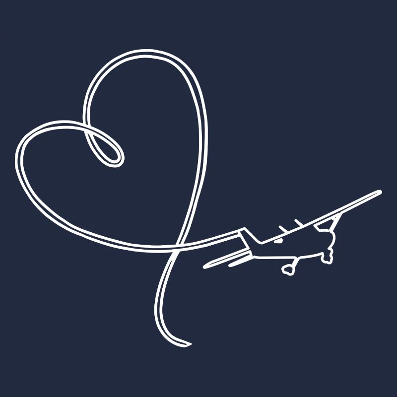 Pilot VFR aviation aircraft flight instructor