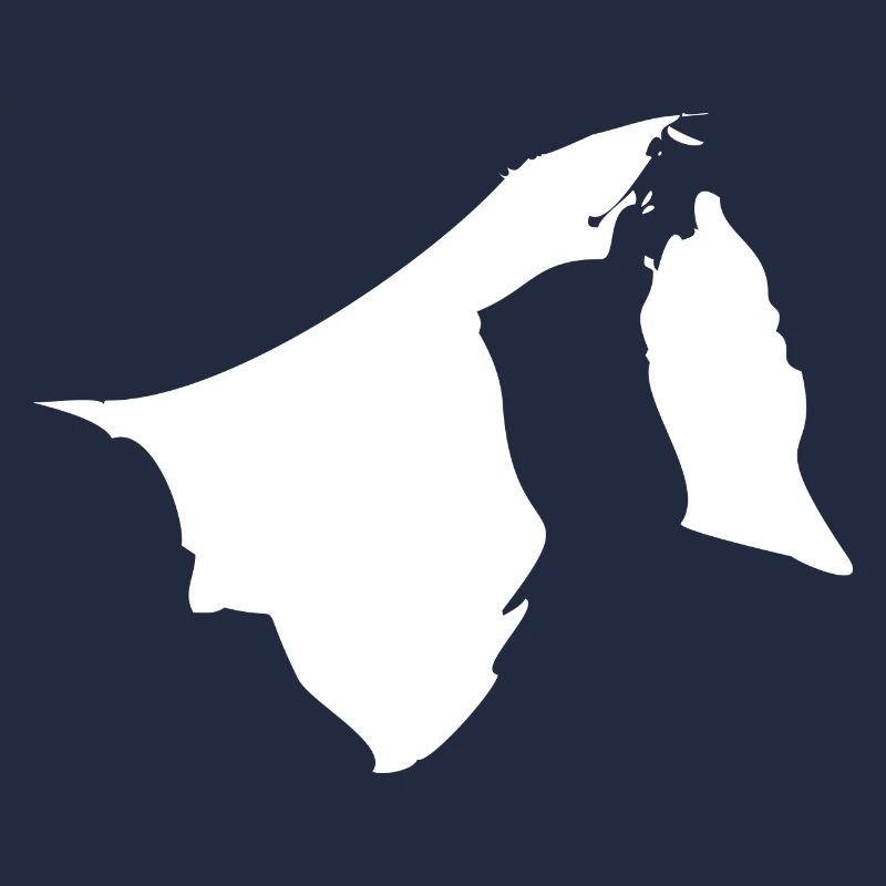 Drapeau de carte de Brunei