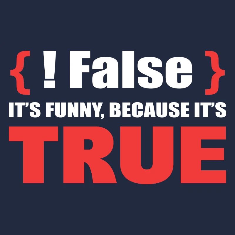 False It's Funny Because It's True Programmierer