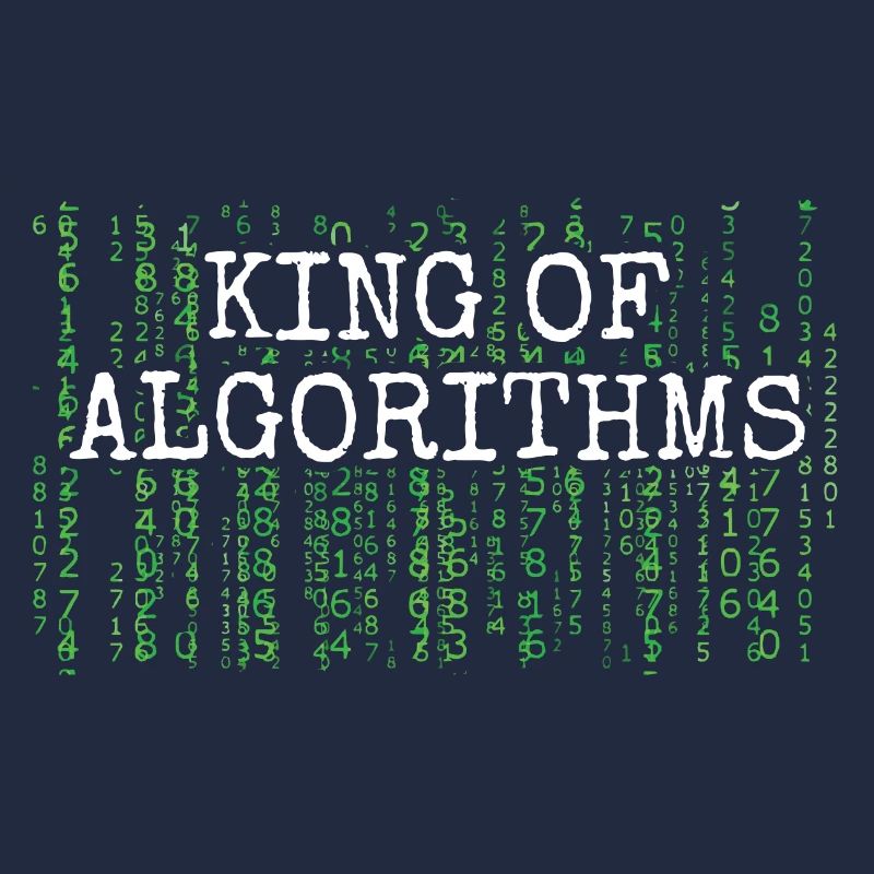 Software Ingenieur Informatiker Programmierer