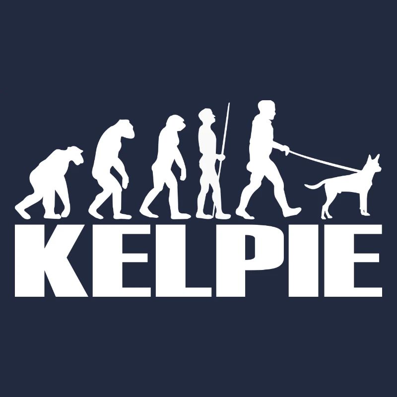 Kelpie Australian Chien Evolution