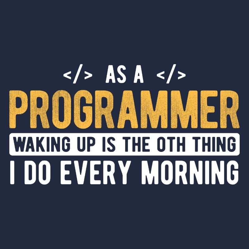 Software Ingenieur Informatiker Programmierer