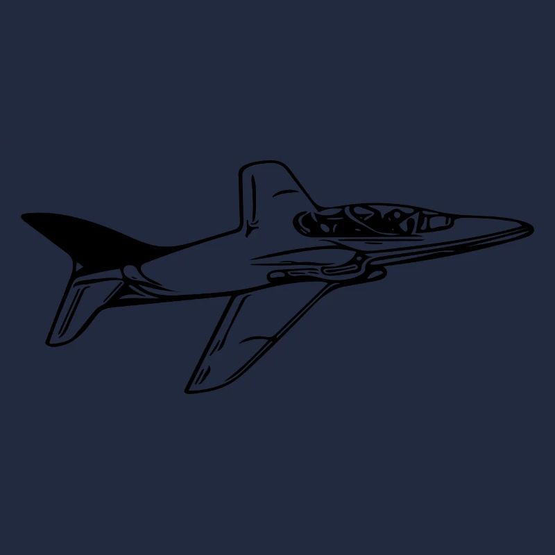 Jet Flugzeug Flieger