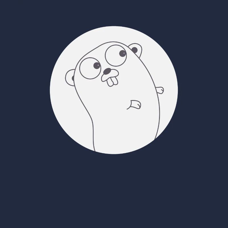 Golang Gopher Programmierer T-Shirt