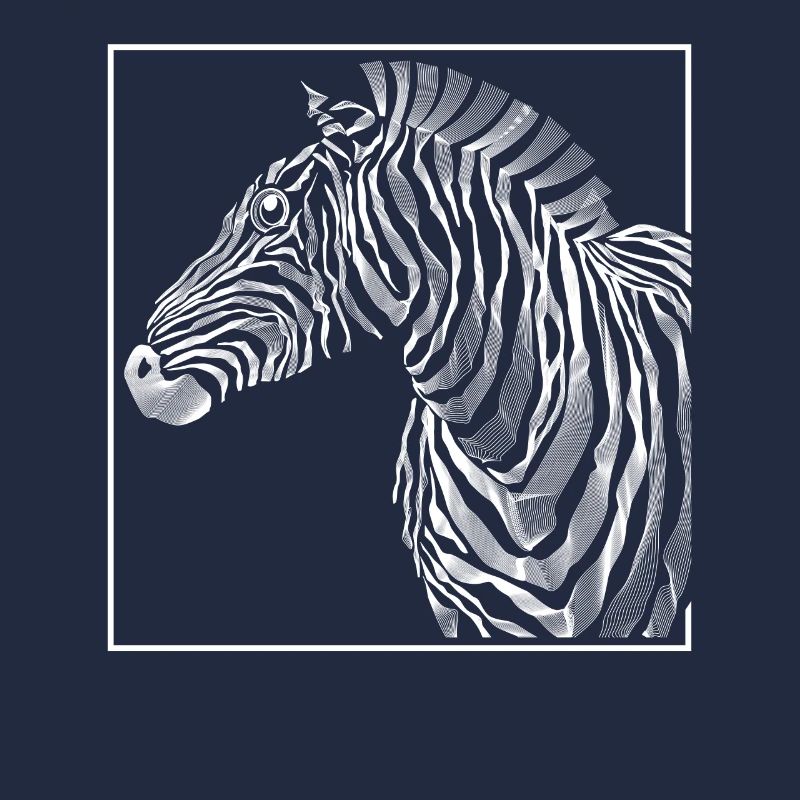 Zebra Zebra Zebra