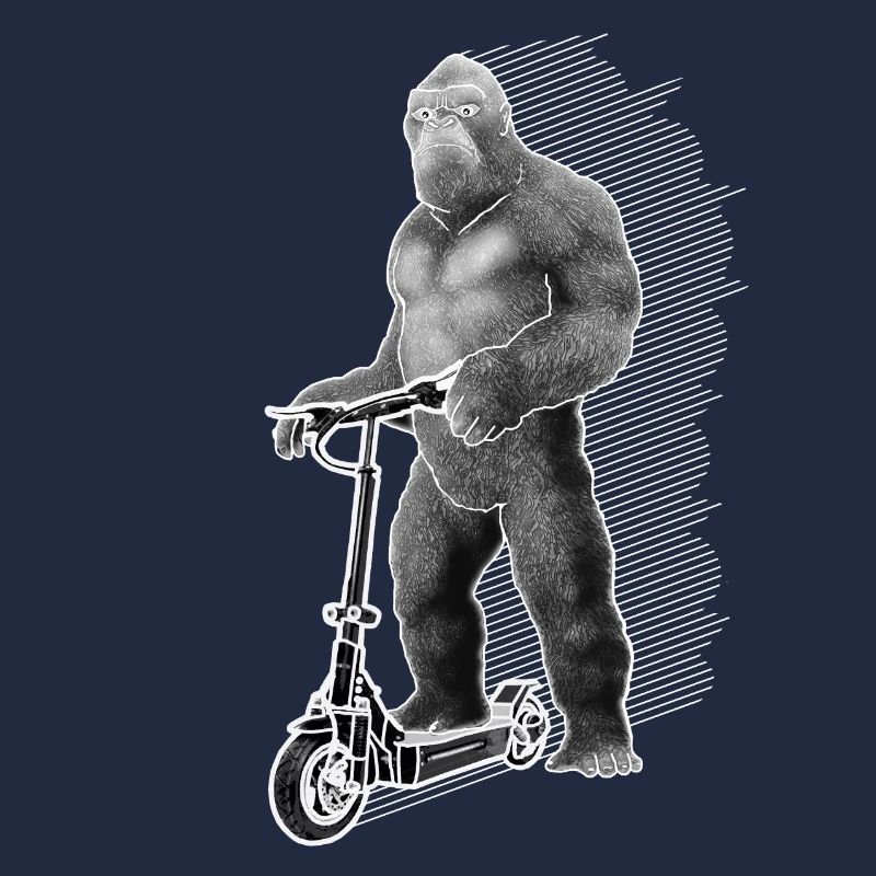 Elektroroller E-Roller King Kong Geschenkidee