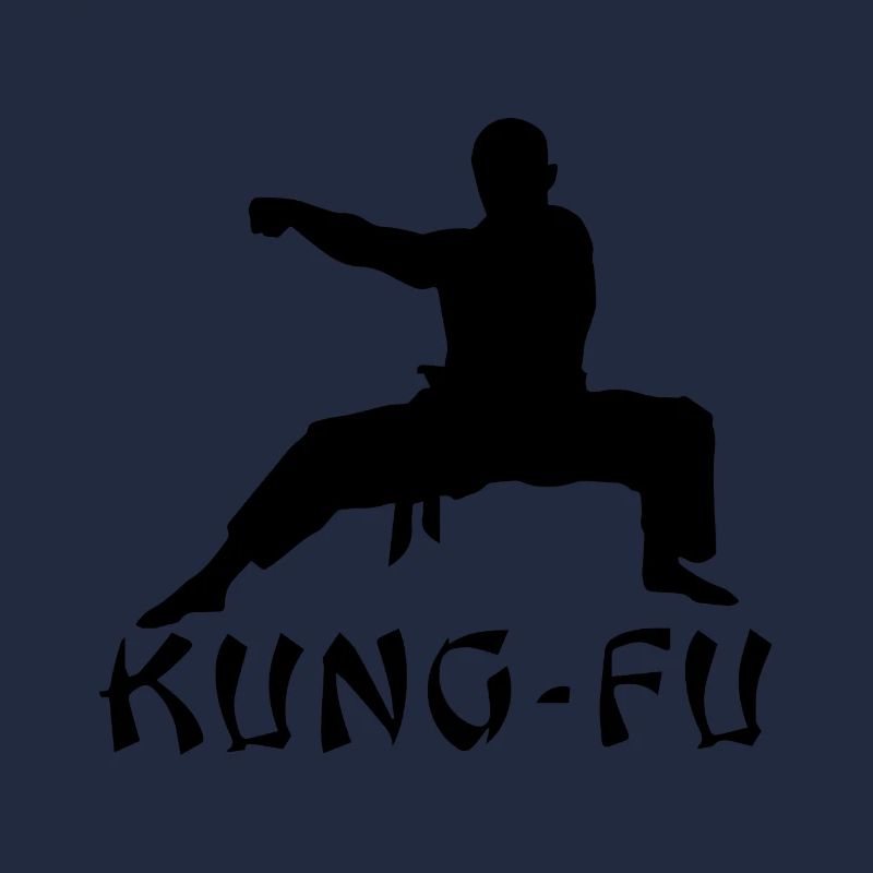 kung fu geschenkshirt