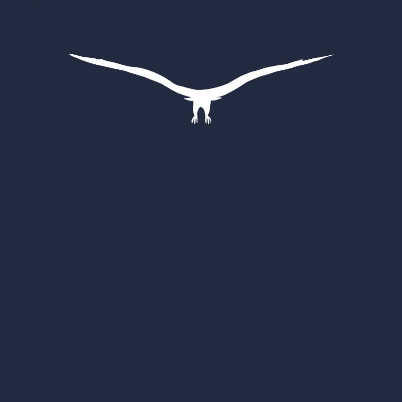 Eagle buzzard or hawk silhouette approaching