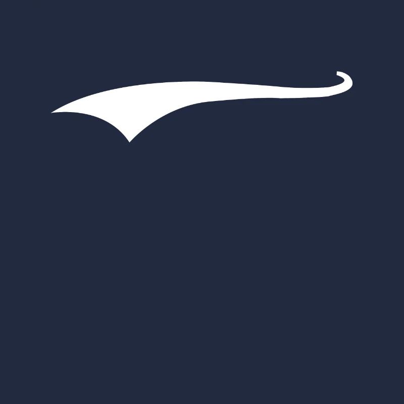 Swoosh underscore Swash