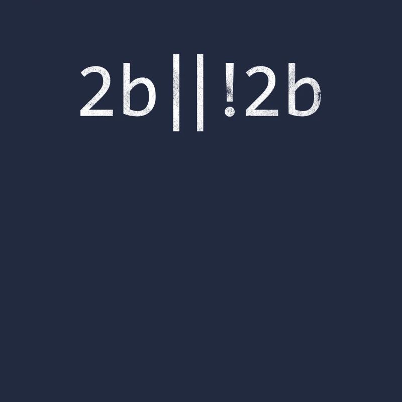 2b or not 2b Programmer Coder Coding Programming