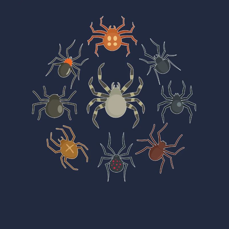 Les araignées