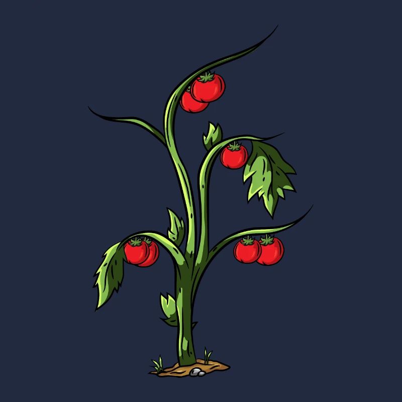 Tomate