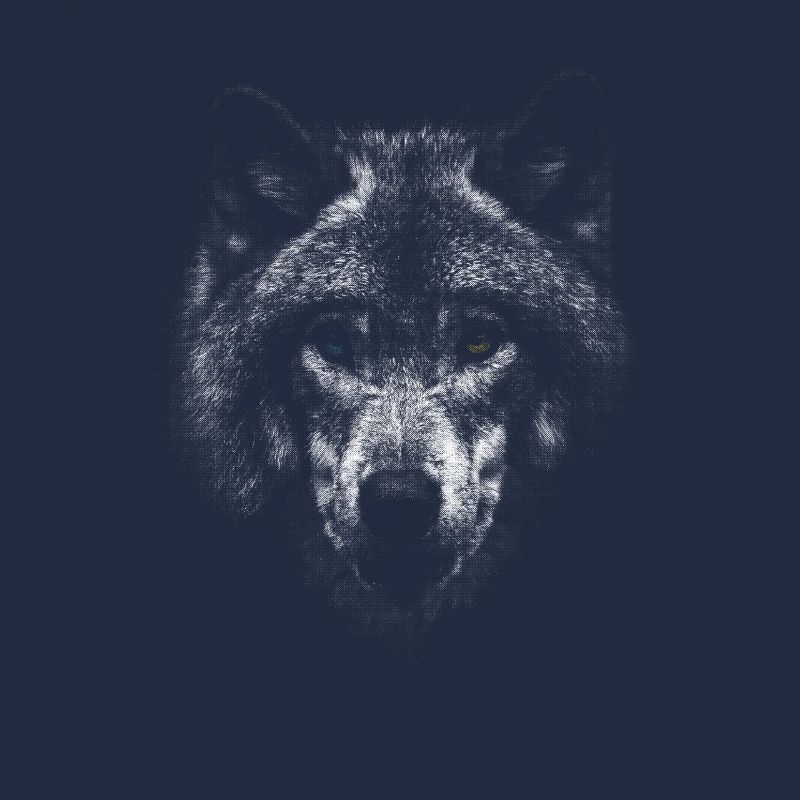 White Wolf Wolf's Head