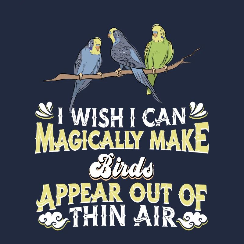 Oiseaux Oiseaux