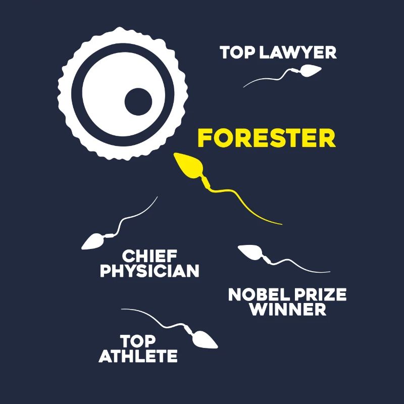 Forester Forestry Forester Forest Worker Forest