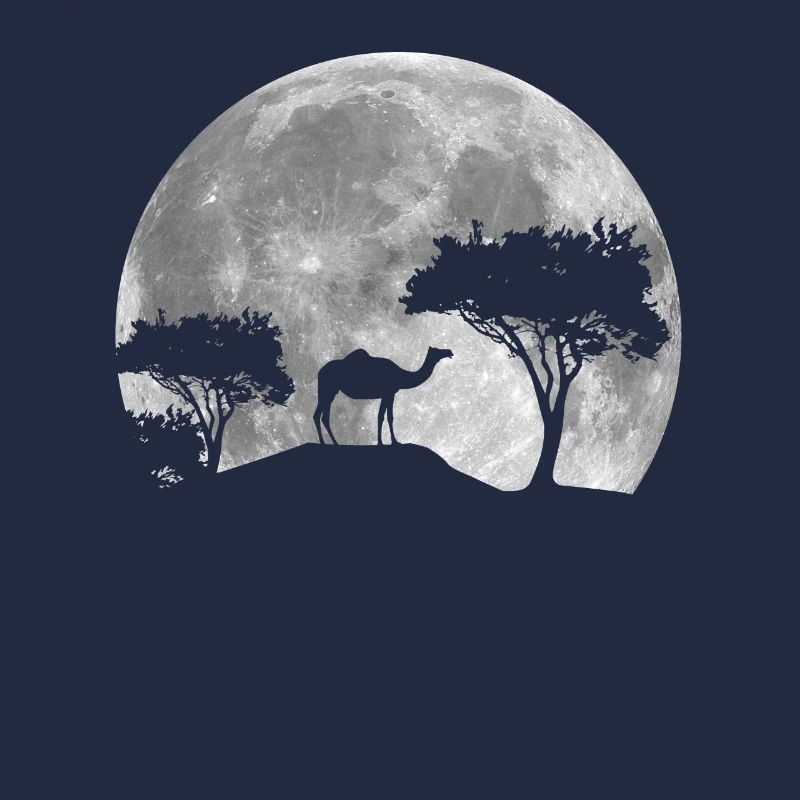 Camel At Night