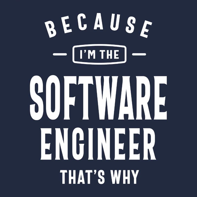 Software Engineer Job Title Profession