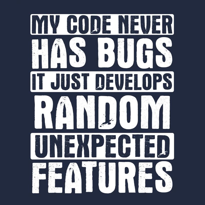 Software Ingenieur Informatiker Programmierer