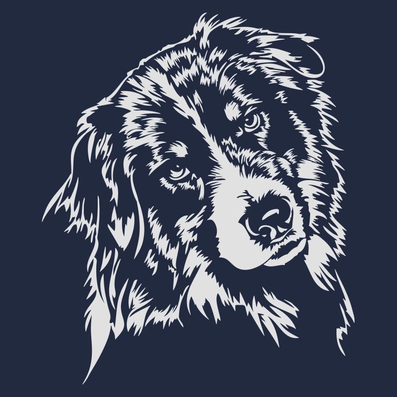 Wilsigns Australian Shepherd