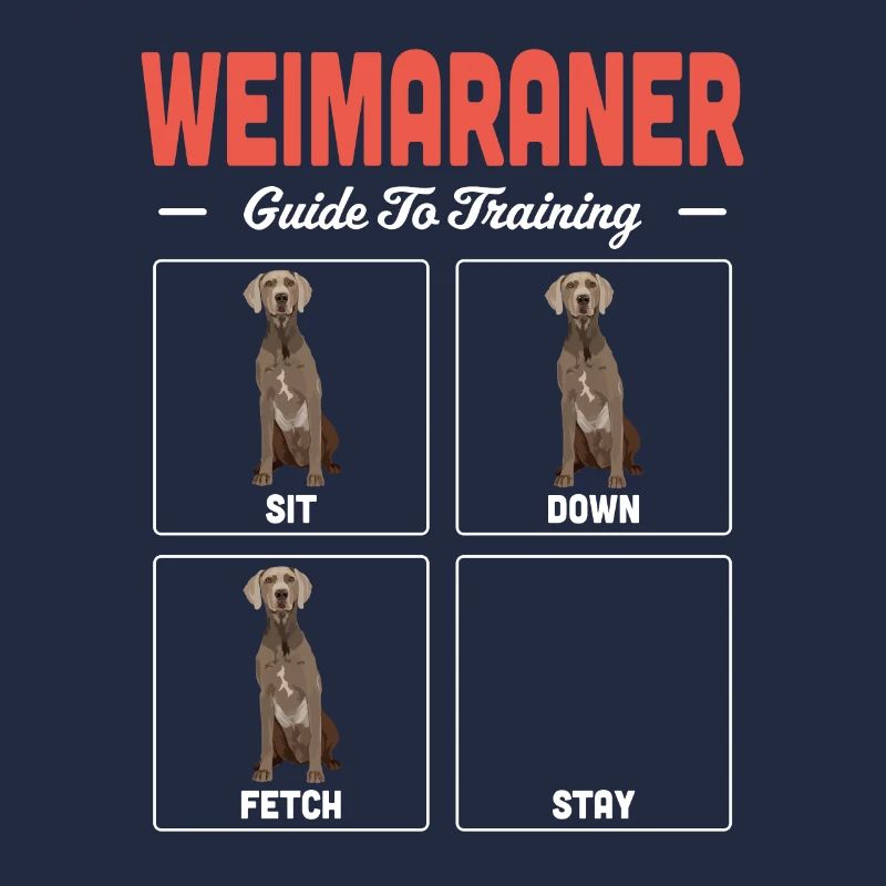 Weimaraner