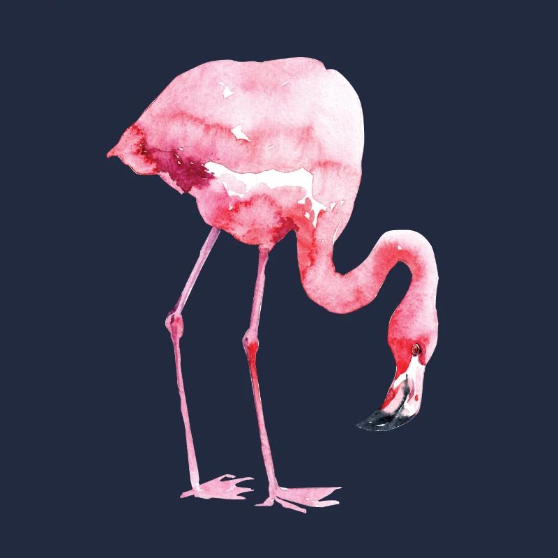 Flamant
