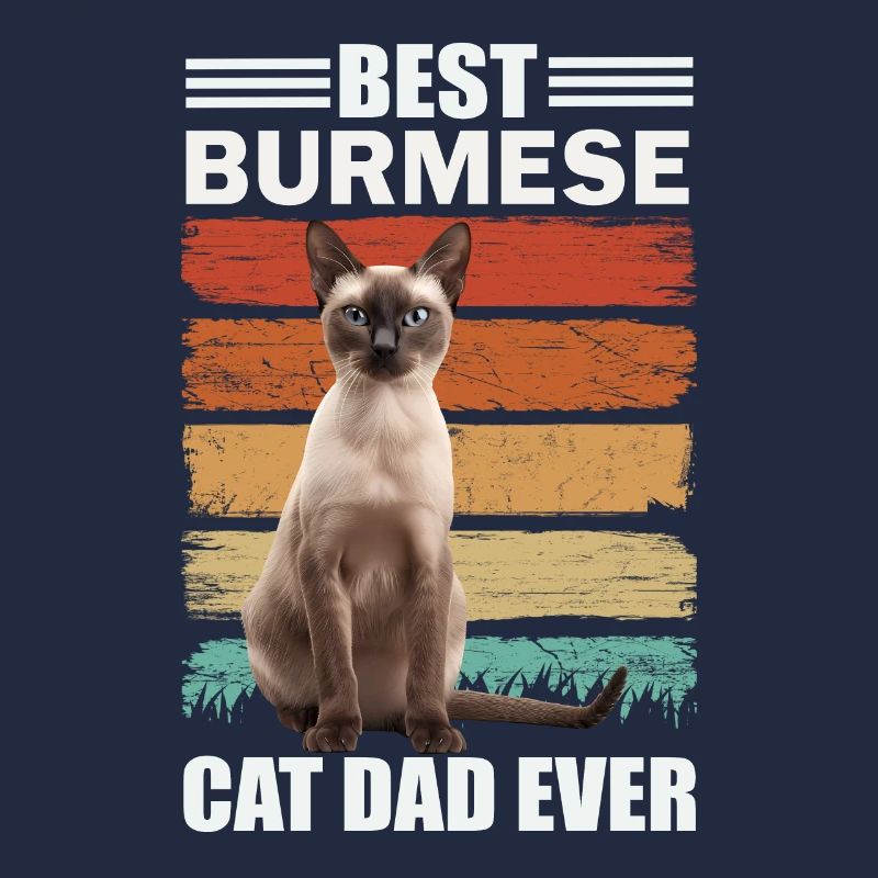 Birman papa chat