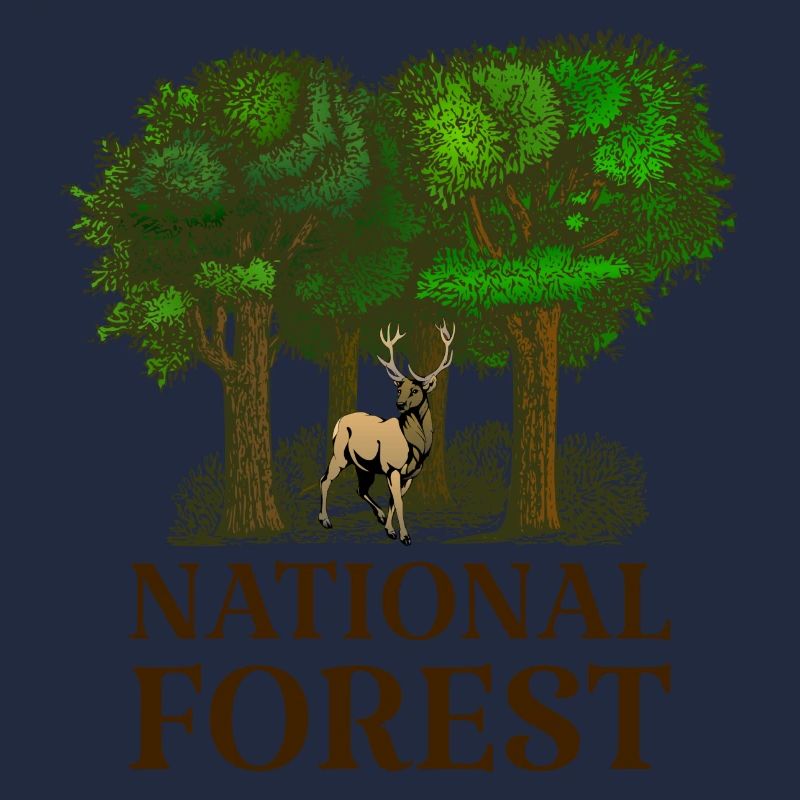 National Forest