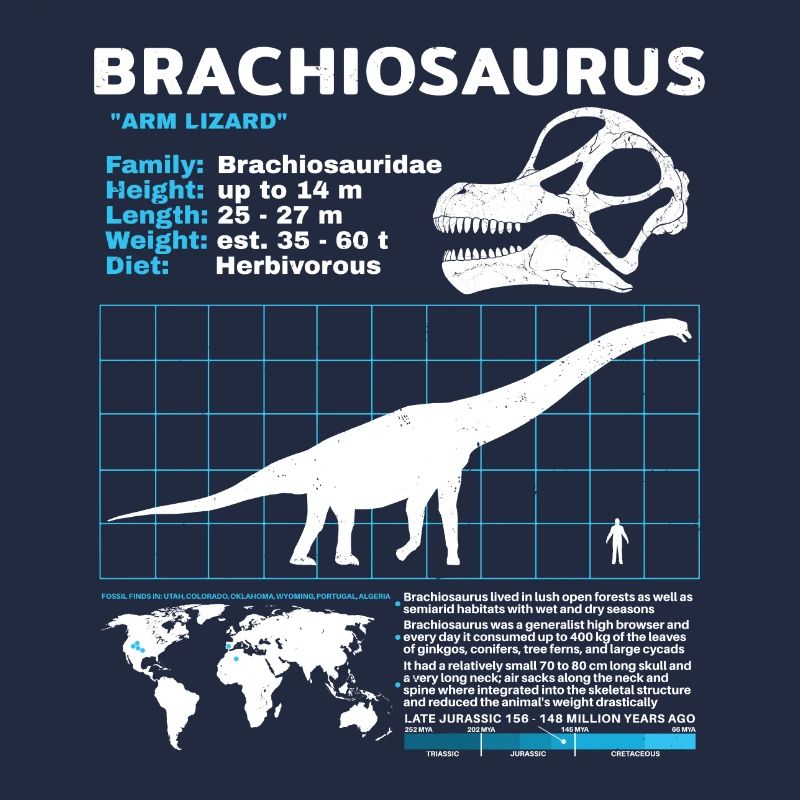 Brachiosaurus Datenblatt