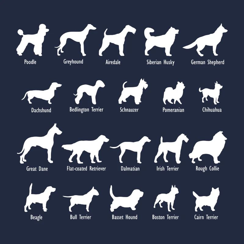 Noms de races de chiens