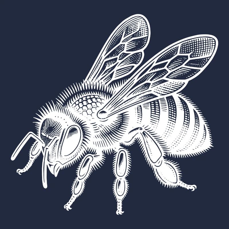 Douce petite abeille