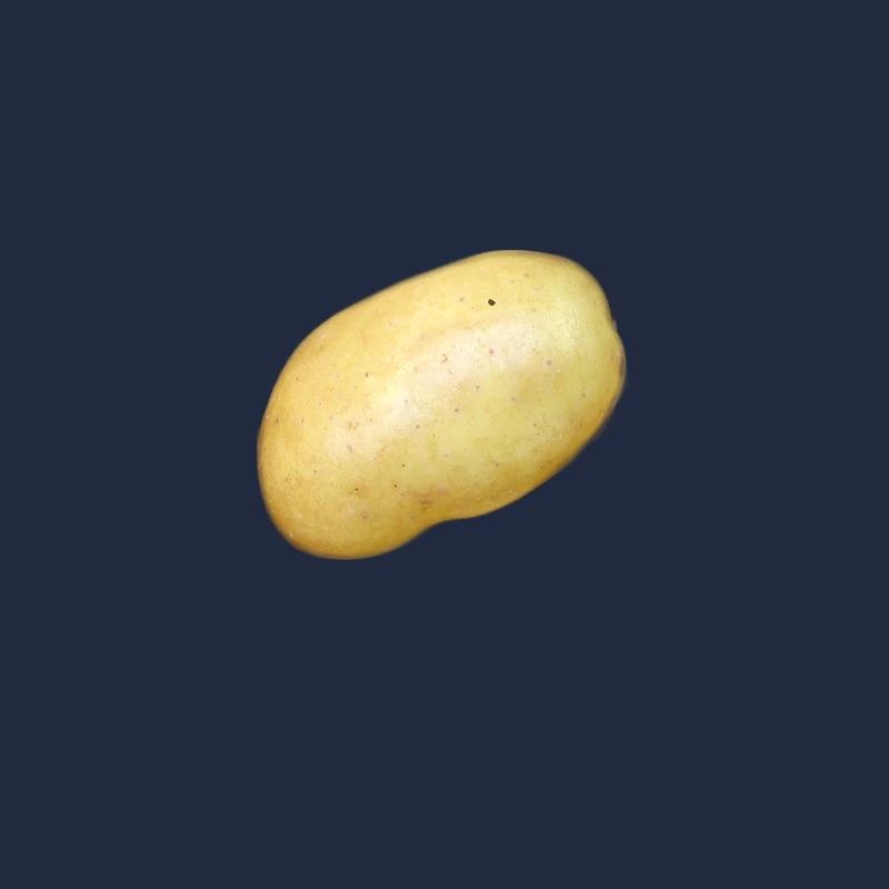 pomme de terre