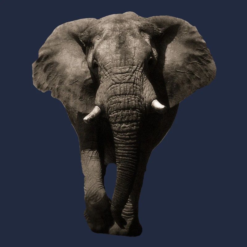 Elephant Safari Wild Animals Pachyderm Gift Idea