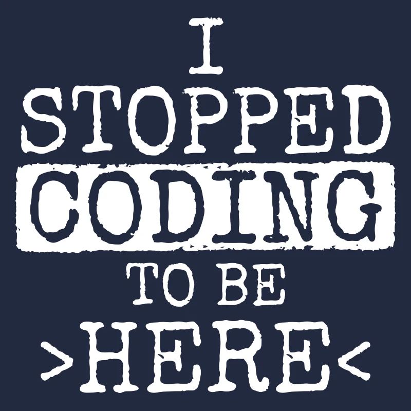 Software Ingenieur Informatiker Programmierer