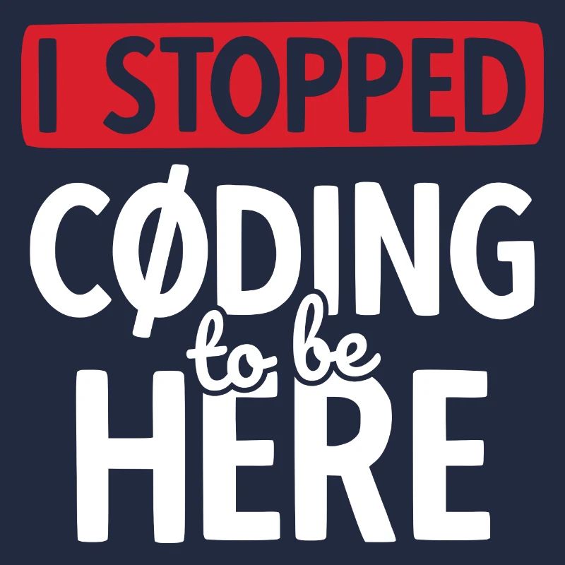 Software Ingenieur Informatiker Programmierer