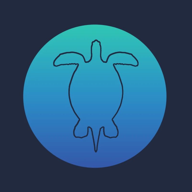 Turtle Turtle turtle