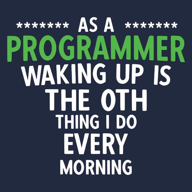 Software Ingenieur Informatiker Programmierer