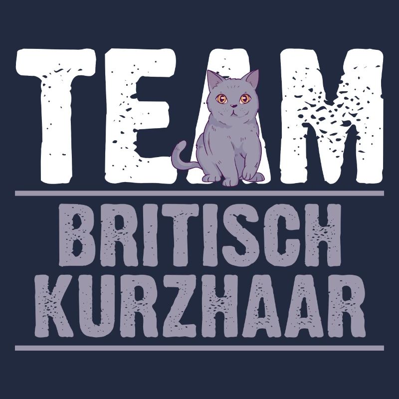 Britisch Kurzhaar Katze