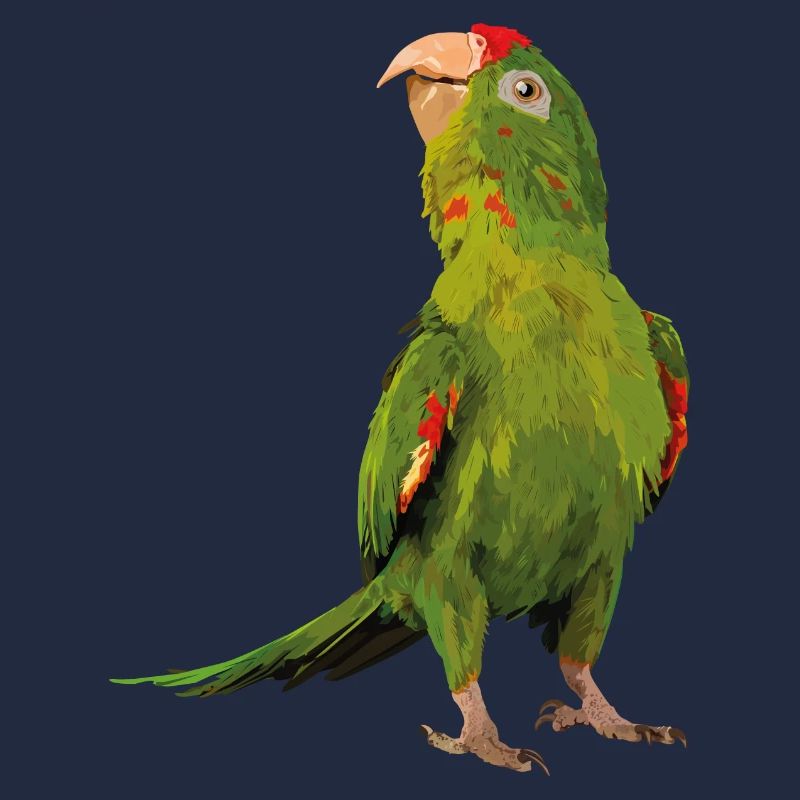 red-fronted parakeet