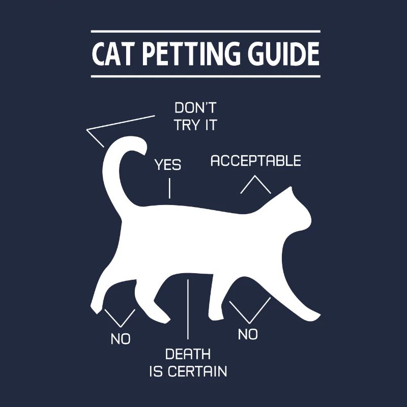 chat chat caresser guide